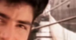Chayanne - Completamente Enamorados