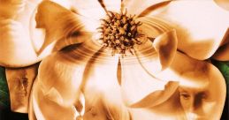 Magnolia (1999)