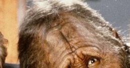 Harry and the Hendersons (1987)