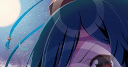 FLEX'N'CORD Double Spoiler ~ Touhou Bunkachou Touhou Yumejikuu ~ Phantasmagoria of Dim.Dream. Touhou Tenkuushou ~ Hidden Star