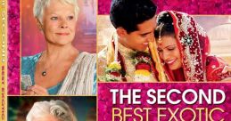 The Second Best Exotic Marigold Hotel (2015)