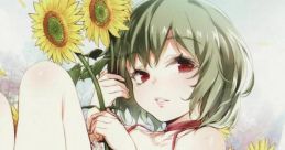 Rising Star Touhou Kaeidzuka ~ Phantasmagoria of Flower View. Touhou Youyoumu ~ Perfect Cherry Blossom. Touhou Fuujinroku ~