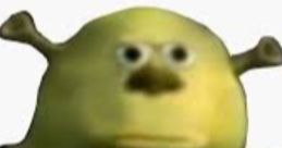 Shrek character with a surprised expression, featuring green skin and distinctive ears, popular in animated films.