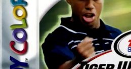 Tiger Woods PGA Tour 2000 - Video Game