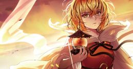 HAKU Touhou Seirensen ~ Undefined Fantastic Object. - Video Game