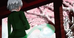 Hakugyokuro Tsubofuyu no Jin 白玉楼 杪冬の陣 Touhou Youyoumu ~ Perfect Cherry Blossom. - Video Game Video game from