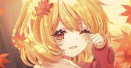 Hisoyakana Gensou 密やかな幻想 Touhou Fuujinroku ~ Mountain of Faith. Touhou Kouryuudou ~ Unconnected Marketeers. Touhou Youy
