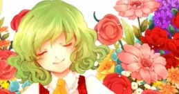 Irodori 彩 いろどり Touhou Rei'iden ~ Highly Responsive to Prayers. Touhou Youyoumu ~ Perfect Cherry Blossom. Touhou