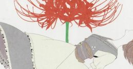 Kare Kishi ni Saku 枯れ岸に咲く Touhou Kaeidzuka ~ Phantasmagoria of Flower View. - Video Game Video game from Kare Kishi n