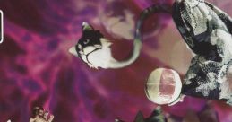 Touhou Nekokenban 5 東方猫鍵盤5 Touhou Shinreibyou ~ Ten Desires. Touhou Eiyashou ~ Imperishable Night. Yousei Daisensou ~