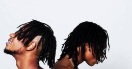 Rae Sremmurd - Swang "Swang" is a popular song by the hip-hop duo Rae Sremmurd. Formed in 2013, the band consists of two