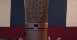 Versatile, Robust, and Expert. Equipped with an 18-21 Db Spl-c Studio, a Neumann U87ai, a Bae 1073mp, Wavelab Pro, Among