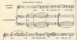 Una Voce Avvolgente E Genuina, Eccellente Articolazione E Poliedricità Nell'intonazione, Con Registrazioni Di Qualità