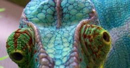 My Voice Is Akin to a Chameleon: It Can Metamorphose to Match Your Whim Type your text to hear it in the My Voice Is Akin to