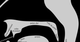 The Vocal Conduit That Will Tether You to the Global Expanse Type your text to hear it in the The Vocal Conduit That Will