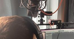 Opulent English E-learning Voiceover, Theatrical French Advertisement