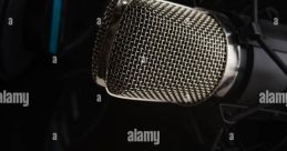Colloquial Vocal Performer Type your text to hear it in the Colloquial Vocal Performer . Colloquial Vocal Performer. English