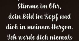 Deine Aufnahme Bringe Ich Im Turbotempo Und in Erstklassiger Güte Zu Dir. Meine Stimme Wird Dich Verzücken Type your text to