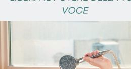Esistono Numerosi Concetti Che Puoi Esprimere Con La Tua Voce, Se Possiedi L'arte Di Comunicarli Type your text to hear it