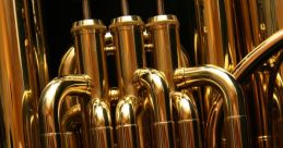 A Mellow Baritone Voice That Articulates Both Standard High German and Authentic Swiss German ("züritüütsch") with Aplomb
