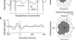 Vocalization Type your text to hear it in the Vocalization . Vocalization. Spanish - Latin American Neutral, Spanish -