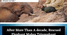 More Than 3000 Triumphant Undertakings