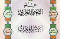 أتمكن من التحدث باللهجة العربية الفصحى الرسمية الواهنة، وأيضاً باللهجة المصرية والخليجية