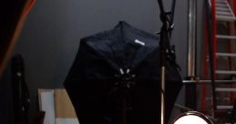 Narrative Weaver with a Majestic Yet Inviting Baritone Timbre, Affiliated with Pbs and Natgeo