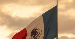 Mexican Spanish of a Professional and Impartial Nature. Castellano