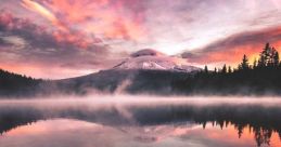 At Times Serene and Tranquil, Then Bursting with Energy, My Voice Is Precisely What You Desire. Polish and English Vo