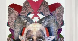 Persuasive, Cordial, Genuine, Indigenous Hibernian Speaker