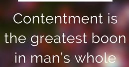 Swift and Top-notch, Your Contentment Is My Boon