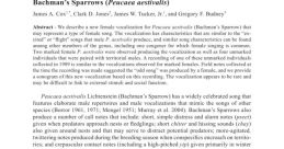 Expert British Female Vocalization with an Uncommon Timbre