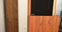 I Capture Audio with Resonant, Genial, and Assured Intonations, Characterized by an Inviting Warmth