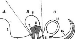 The to Titillate Your Tympanum