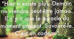 Savoure L'instant Présent, Car Cet Instant Constitue Ton Existence Entière