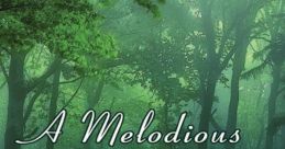 Melodious and Sophisticated Timbre