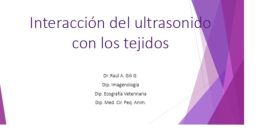 Celeridad, Ultrasonido, Accesibilidad, Experto, Longanimidad