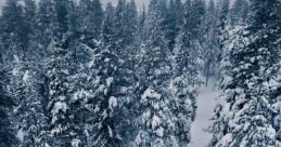Offering Finnish Voice Overs with Expertise and Panache Since 2012