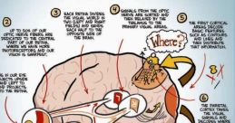 The Audible Sensation You Perceive Type your text to hear it in the The Audible Sensation You Perceive . The Audible