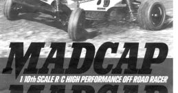 A Self-assured Basso or an Eccentric Madcap