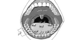 Arabic Tongue (Traditional - Egyptian) - Vocal Narration