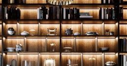 Exhibiting a Blend of Professionalism and Geniality, with a Captivating Timbre