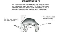 Should You Possess a Tale, I Hold the Vocalization