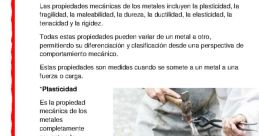 Polivalencia Y Maleabilidad En Su Óptima Medida