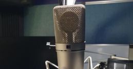 I Am a Seasoned Voiceover Artist with a Cordial and Inviting Timbre. I Provide Top-notch Vocal Renditions with an Expeditious