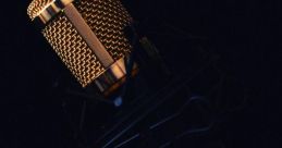 Develop a Voice Brimming with Confidence, Vitality, and Veracity Type your text to hear it in the Develop a Voice Brimming