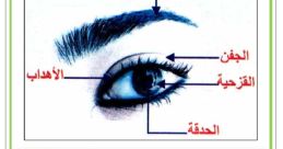 أحياناً تكون الأذن مولعة قبل أن تبصر العين