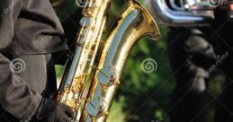 Seasoned Vocal Performer Possessing a Sonorous Baritone Timbre, Untainted by Any Accent in Both Russian and Ukrainian