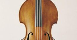 The Bass-baritone Captivates with Its Opulent and Sonorous Timbre